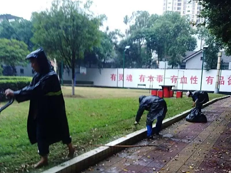 無懼風(fēng)雨，信泰為您守護